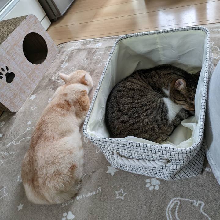 0bac2480 7aa6 4365 8911 c7b49c66f5ca 1696815193683