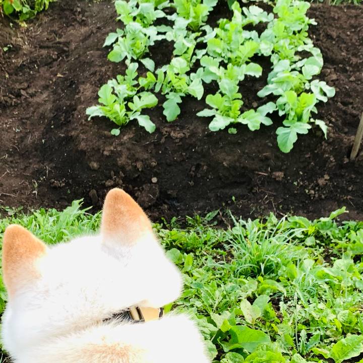 0bac3014 0124 4a57 bf41 c25c654f920b 1660163420566