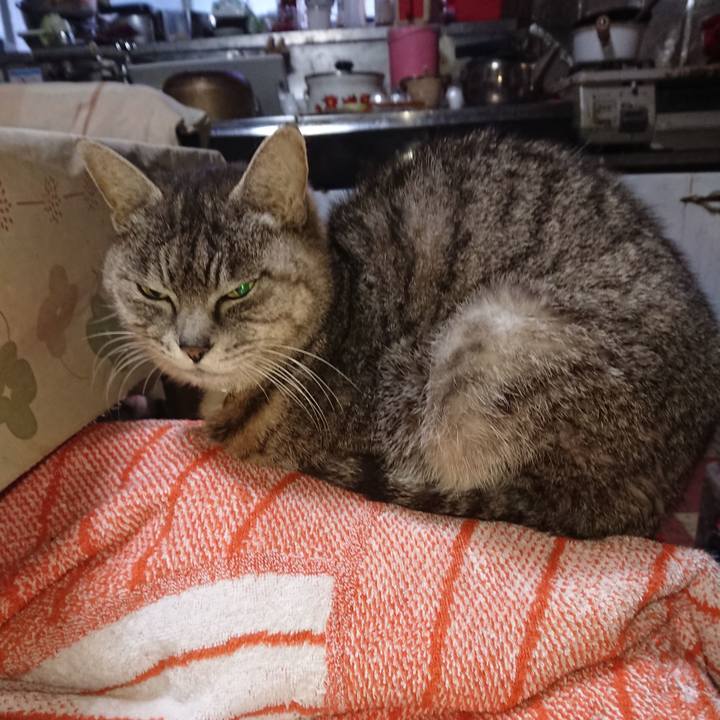 0bac8d41 fcc1 4f4b 8312 e2e449936672 1584220239310