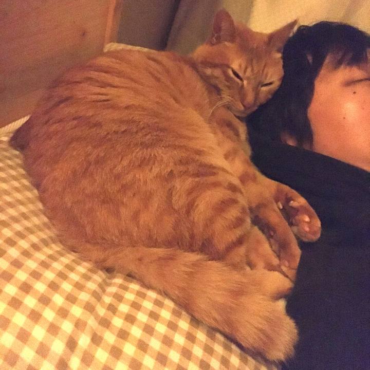 0bac9c98 0f10 4884 9c42 f921e515daa9 1576683054192