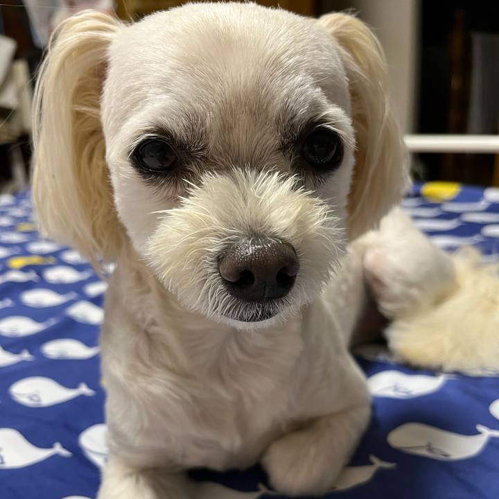 0bace432 e7c8 4dcb 8c87 2f01ee8c3ce2 1686923288405