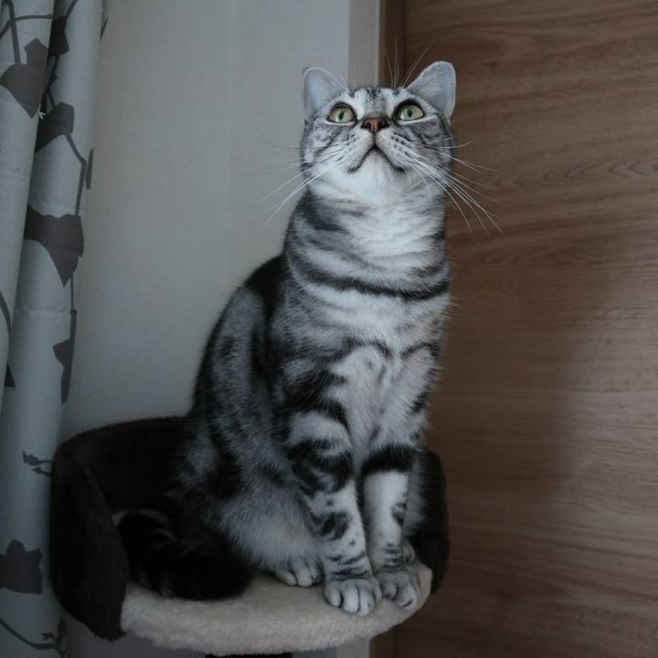 0bad0763 1c59 4670 9bfb 243acad3b6f7 1603527091837