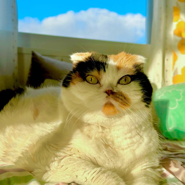 0bad124e f59a 405e b5a4 c3c328596352 1736377972230