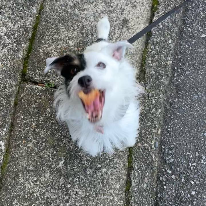 0bad4fbb 4d07 44fb 8674 bf1fcfdd72c0 1660865218015