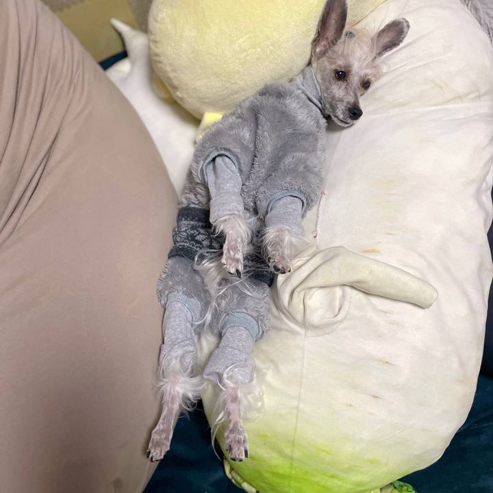 0bad580b 24ff 4938 bced 410a20ce6e0f 1767691190760