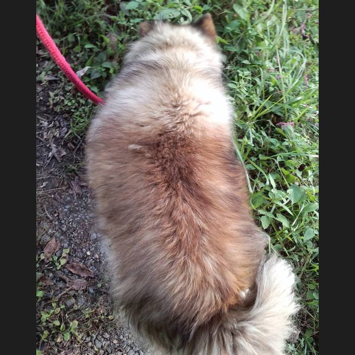 0bad5a3e fd73 4818 add7 9f890bd6ceff 1568224941353