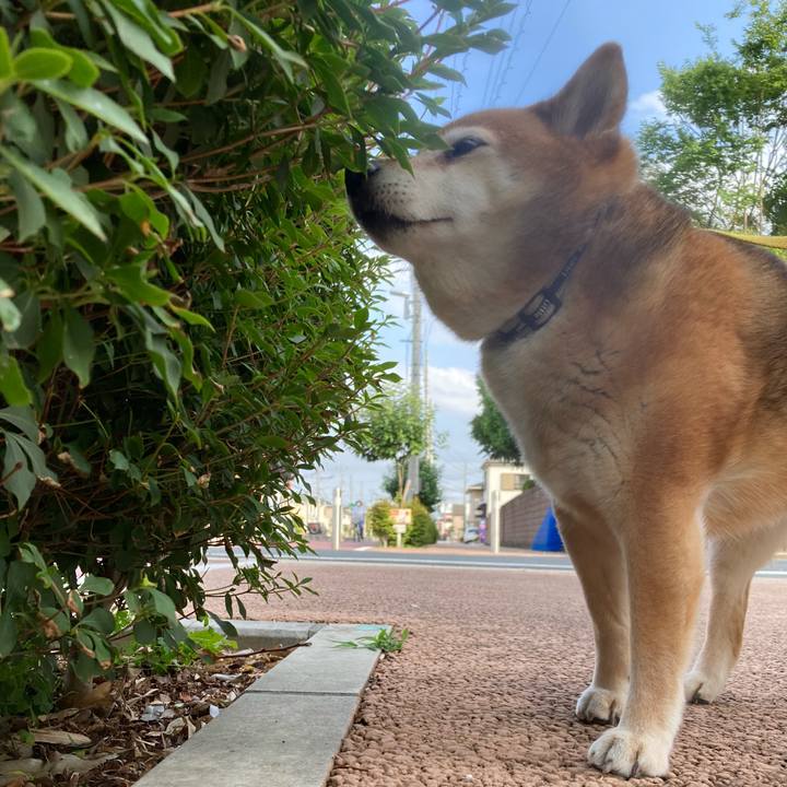 0bad7a6f 0e14 40a5 9a6e 3153de8fdc4b 1653950163888