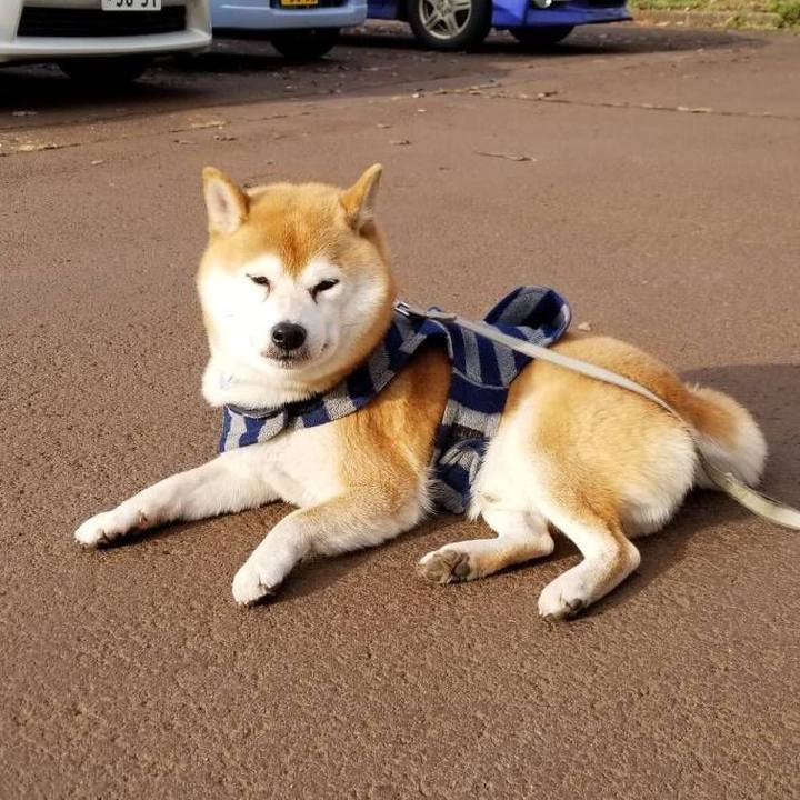 0bad98a5 22d1 4050 8bc1 4f88fa015dde 1576040817811