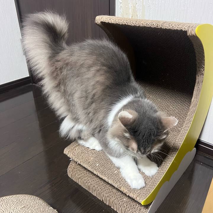 0badd3d0 4ac9 4b38 aab6 47abf0749c44 1769427012727