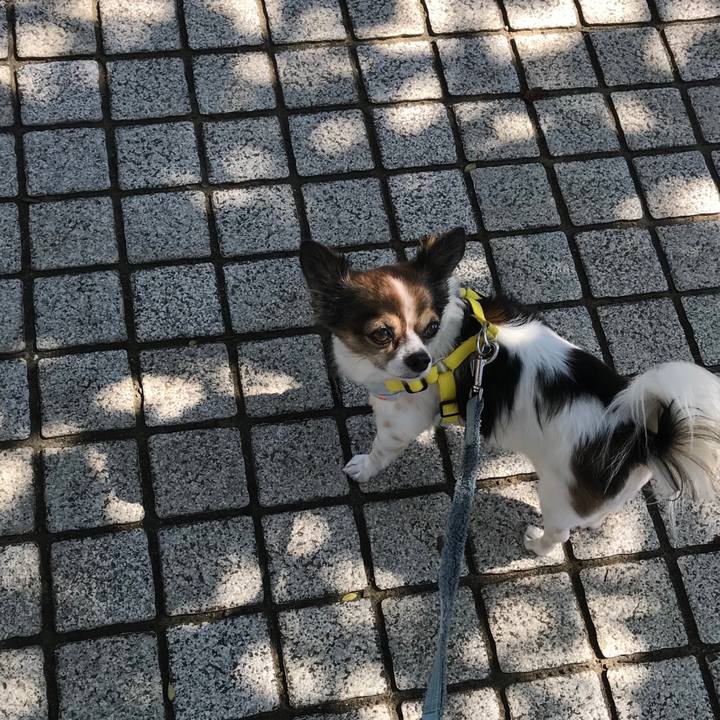 0badd90f b871 44eb 90a4 aeb3f658e196 1537321949579