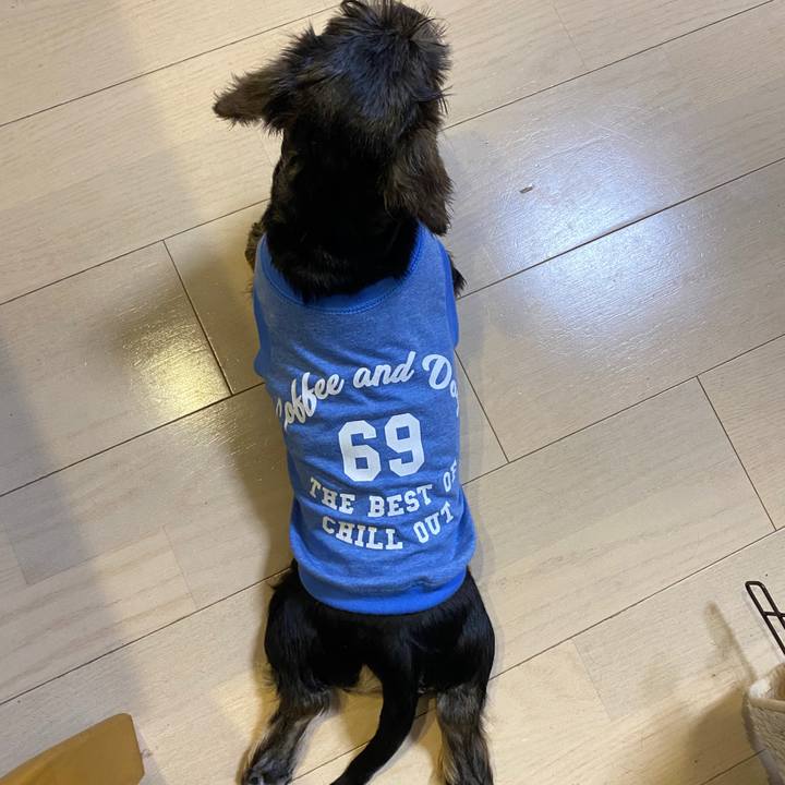 0badff02 143e 42e1 9068 f3d354068830 1588686473115