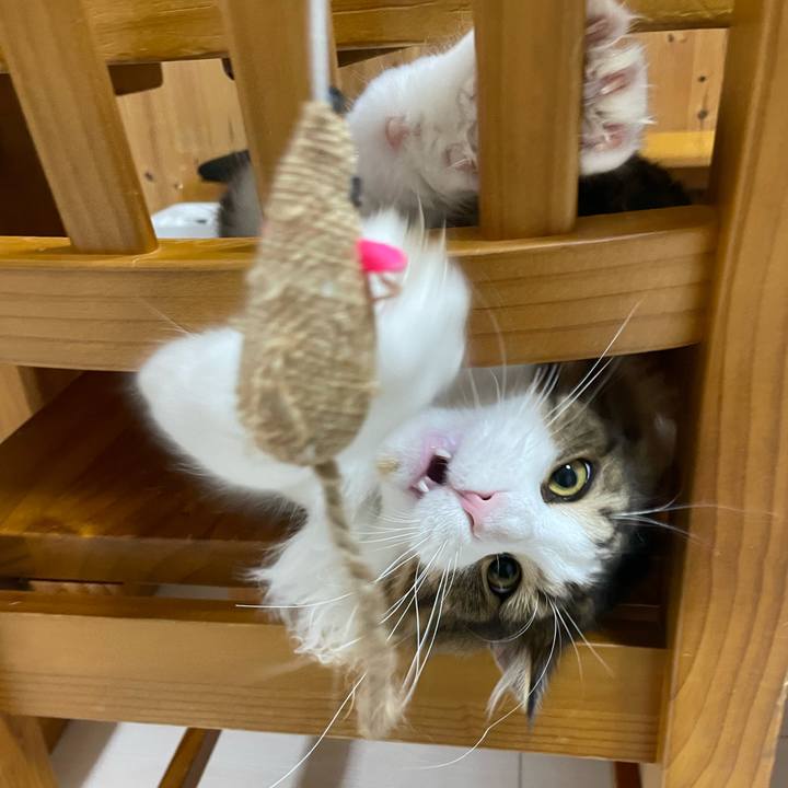 0bae41ad 164b 45d7 b8b0 9063018debcf 1645185159605