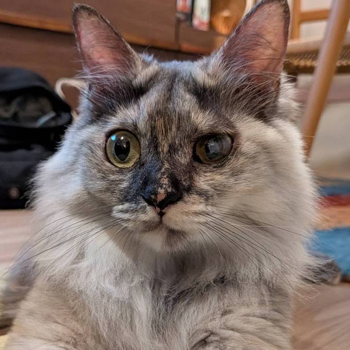 0bae54e9 b8d0 4ea7 8a09 ed432f9551cc 1752068886558