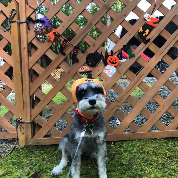 0bae6ffe bd85 495e bd98 ee01fef71bd8 1667189438631