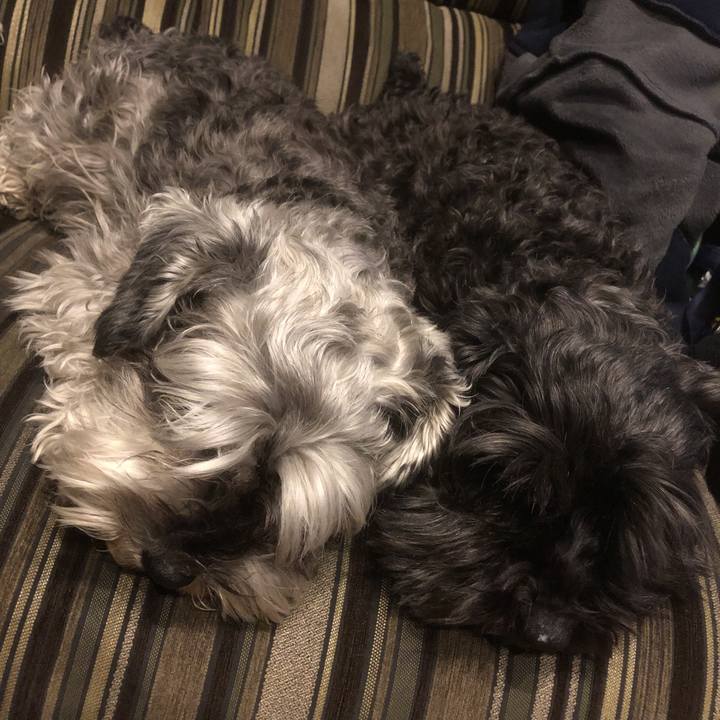 0bae7137 d573 4002 a2a8 ad4e3571067d 1556198780877