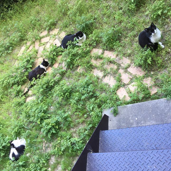 0bae76fe 50fa 4514 9bba 4da9a6d52a4b 1588831151088