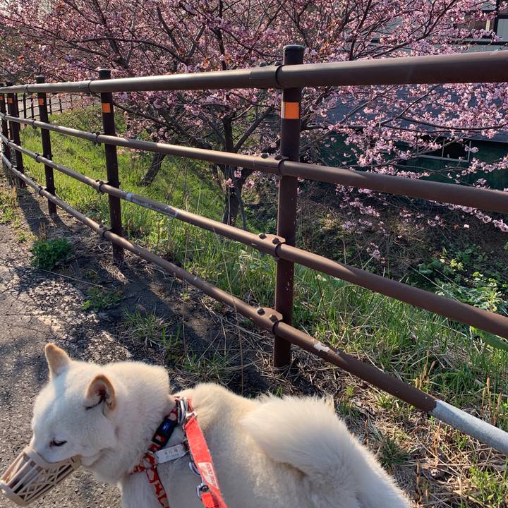 0bae8b75 d44d 4a2c a3f0 30e4edfd1ba3 1556585059880