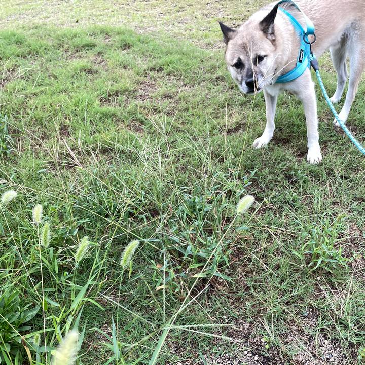 0bae946d bbd3 48ef b6d0 a0dc9f807460 1728043322224