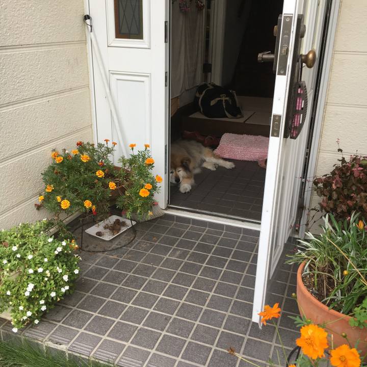 0baea207 6c3d 413b 92be 34ab39e66642 1599964200311