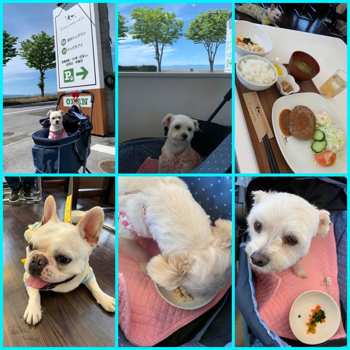 0baea5eb 2b18 4fa2 b339 27bf0bb731d7 1592376411387