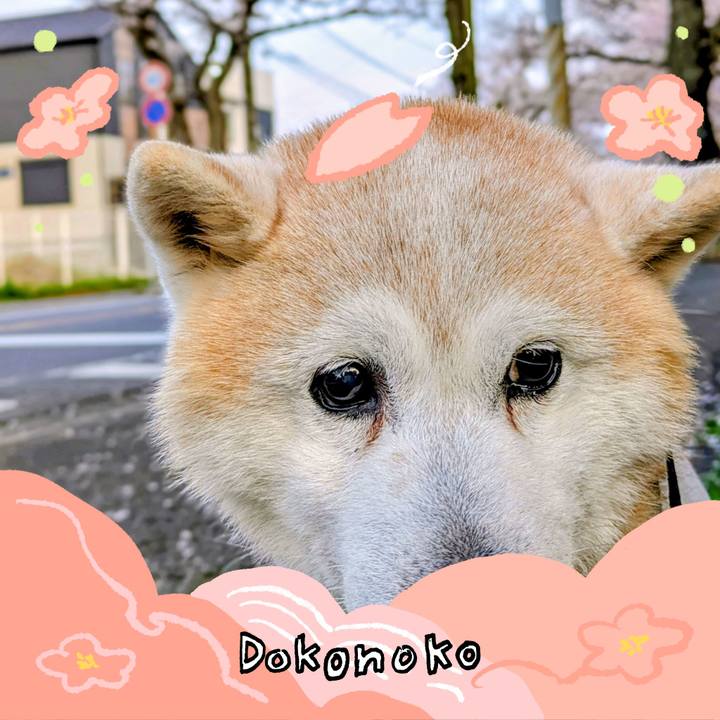 0baedfab 506e 462f 8007 6dee1c71d5ab 1775233299527