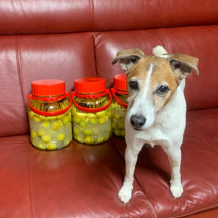 0baee58e 0ea2 4931 a628 e1f46ba2115a 1560951017407