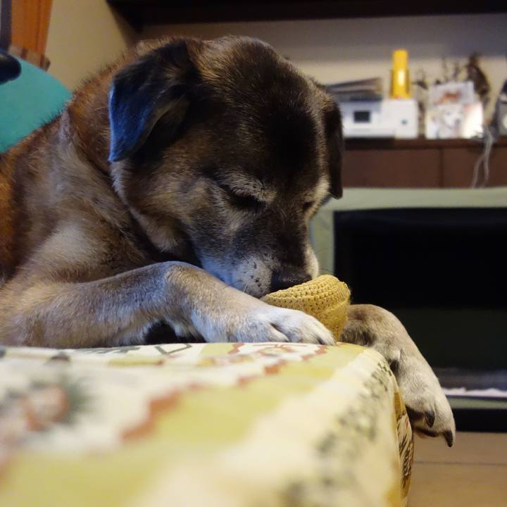 0baf17d0 6ec0 4e08 9b52 615dd8314987 1551575682177