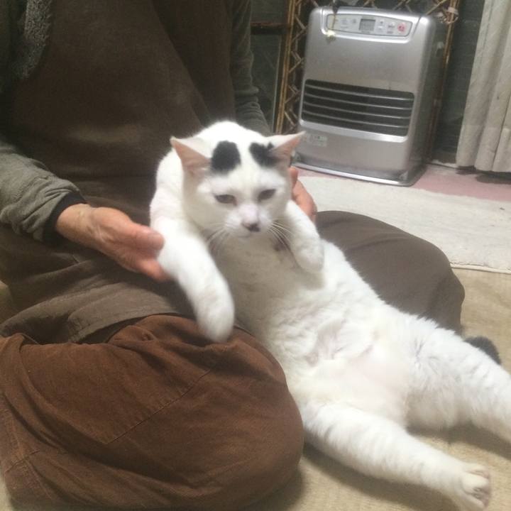 0baf1bbc 647e 4dbf a649 bf776919e2f3 1555771552839