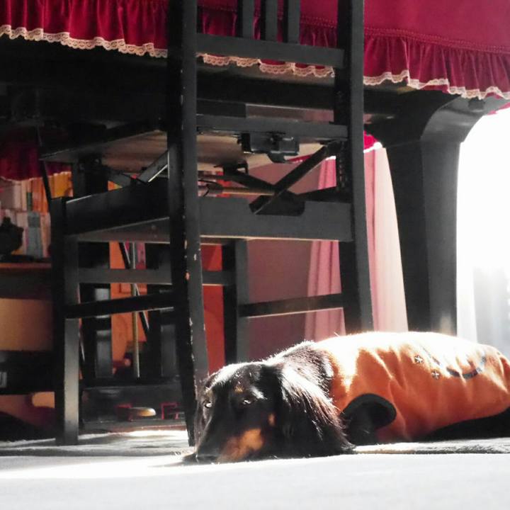 0baf4de1 5316 4ec7 b68b 47a4a546be8c 1541645221945