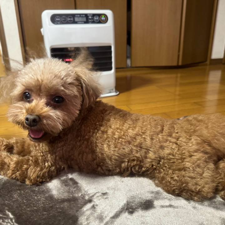 0baf9a2a 272d 4e29 bdba 0512c7dec804 1701498738089