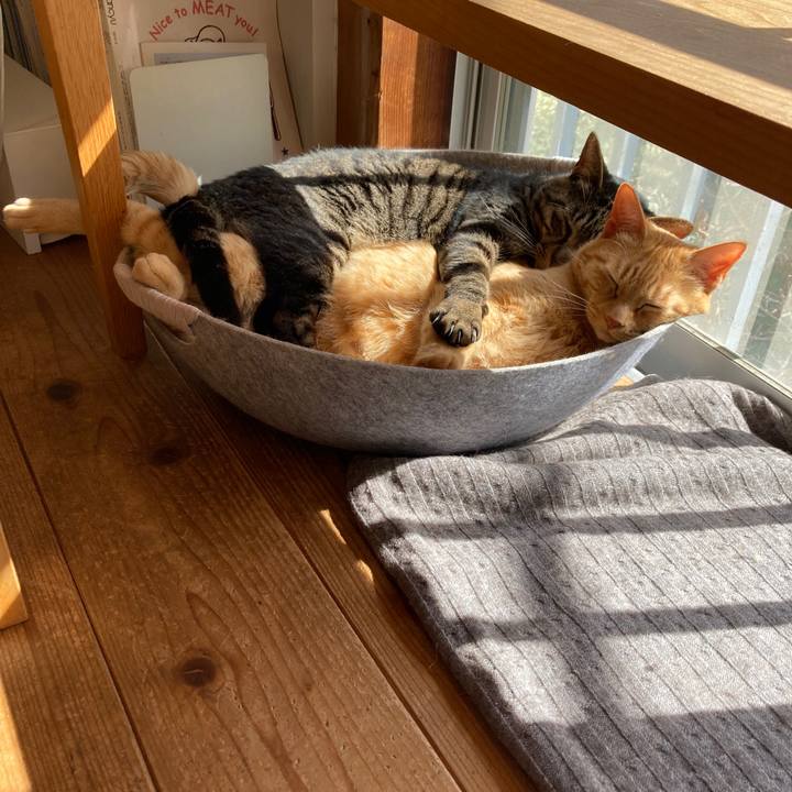 0bafd85c 830b 4cb2 9da8 7ae3c5f3ba34 1710044014874