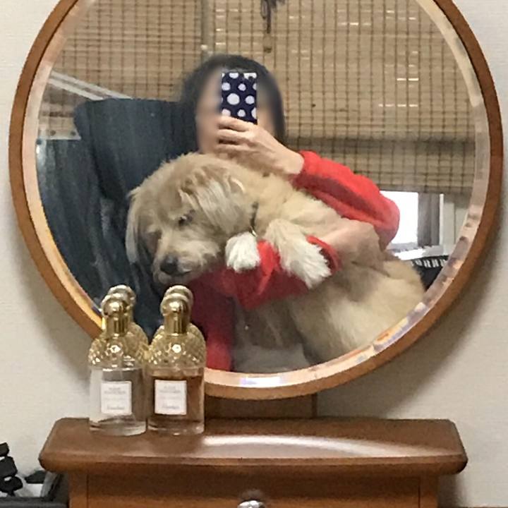 0bb057f4 9fbf 4e53 b3b0 3dee7eeebf2a 1602470568575