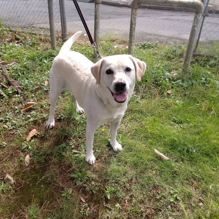 0bb06280 a957 4a37 bb6e d168e55aec6c 1666007128291