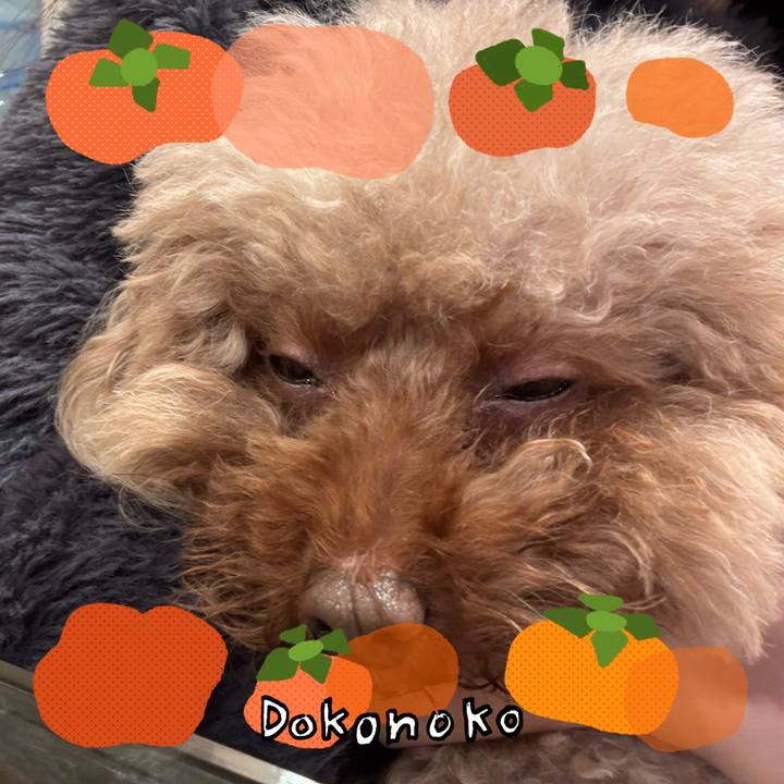 0bb0b5d3 2b28 4124 ac05 7ec613647be4 1762286909702