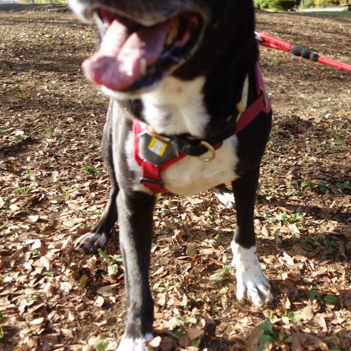 0bb0c3ad e7ec 46d2 b701 6aeae265ec02 1698716490145