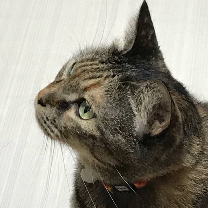 0bb0fe9e f9f4 4b3c ae81 b91c09d8bd95 1535270041326