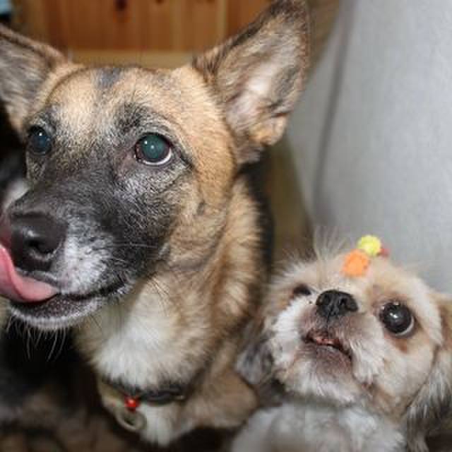 0bb111cf 786b 4603 82bd 9d29692276c4 1528796430063