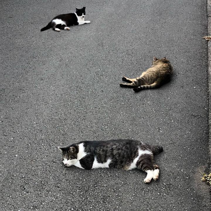 0bb127a1 b3e1 458e a2e5 df4f09878f28 1595408847922