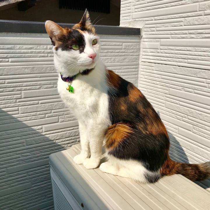 0bb14004 d871 49d7 858b 9d1cc79510f5 1518061048904