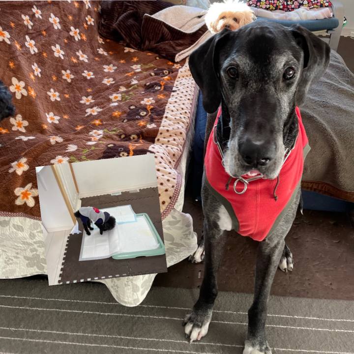 0bb1522f f94f 4a76 870b 2461ebe285bc 1613429044794