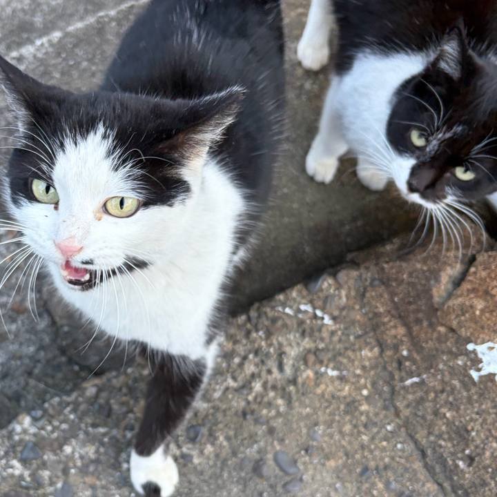 0bb201d1 5b45 42b5 af37 88605f9156d4 1766912873665