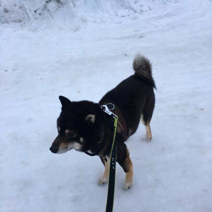 0bb22873 e9cf 4f4a ac05 4c33a7de951a 1520135684259