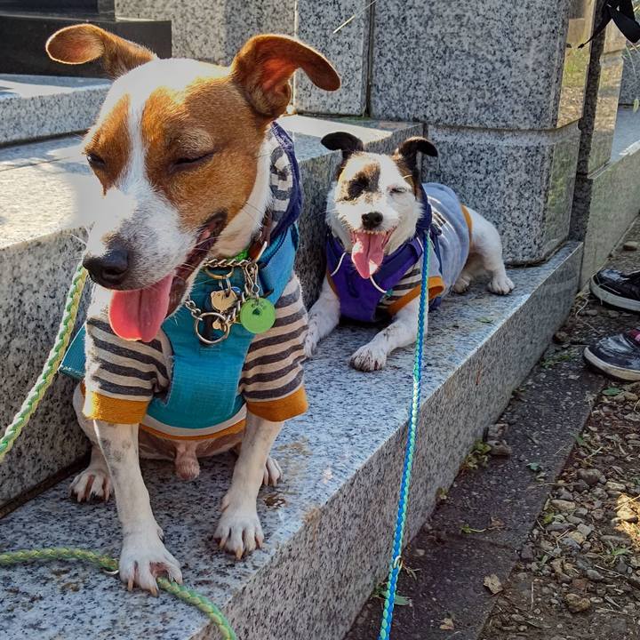 0bb2cc80 7a16 4bed ae1f 98396a5c3052 1630134523667