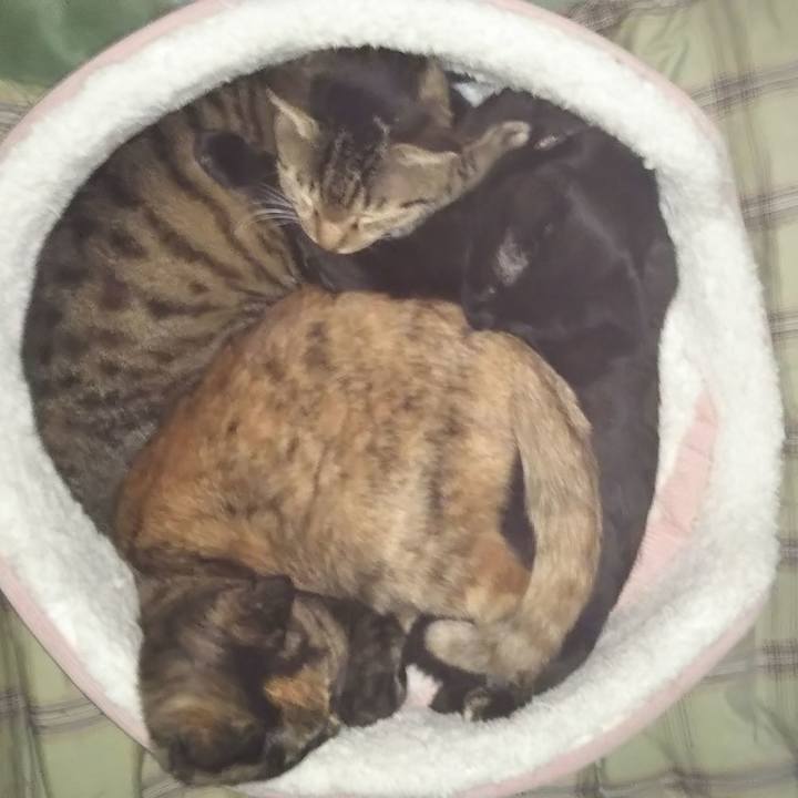 0bb2fff9 4e1b 481b 836b 82d6b8ee8eea 1613226225793