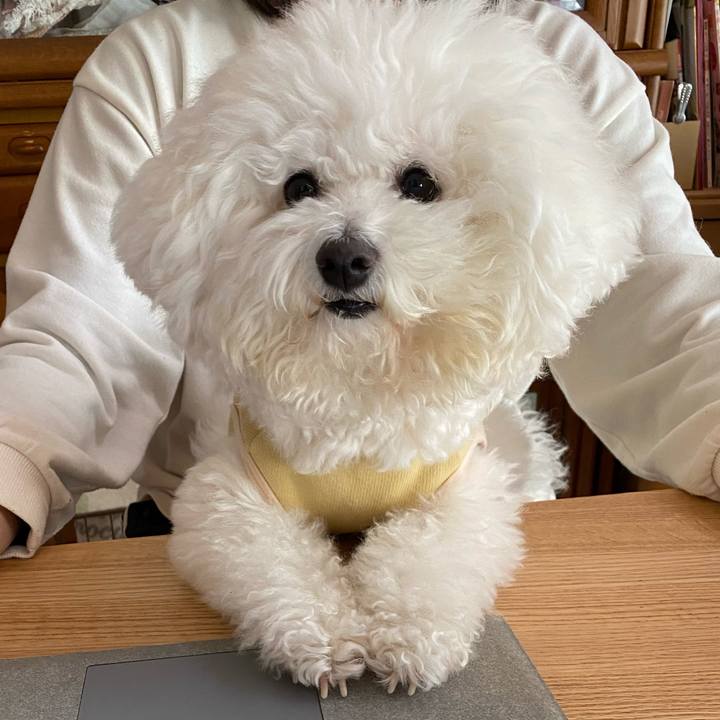 0bb31776 473c 4a79 b899 8fd614f0de0b 1638509401872