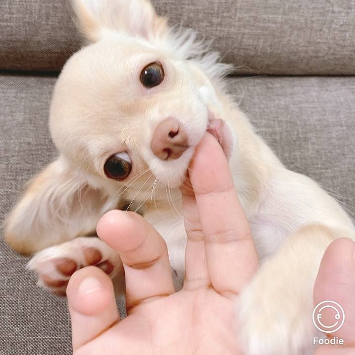 0bb32800 3aa8 4cf1 bd19 0c7d6fb3a3c1 1595312165907