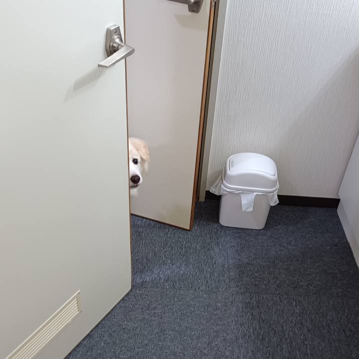 0bb3592f 5b93 4e5c 8138 fb9ae13a583b 1726997446270