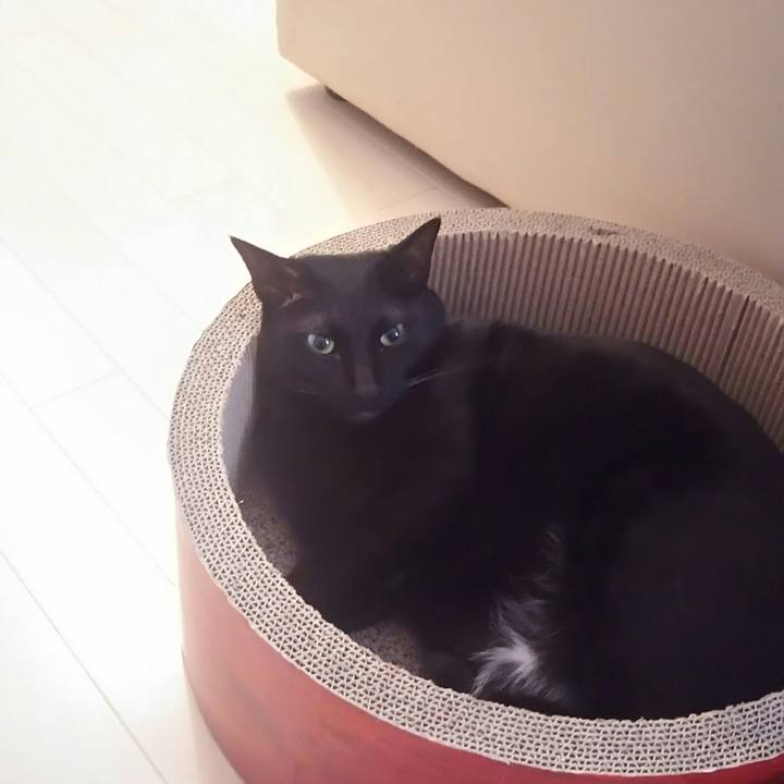 0bb370c3 0134 49a3 823d 16dc23219ca4 1548464230511