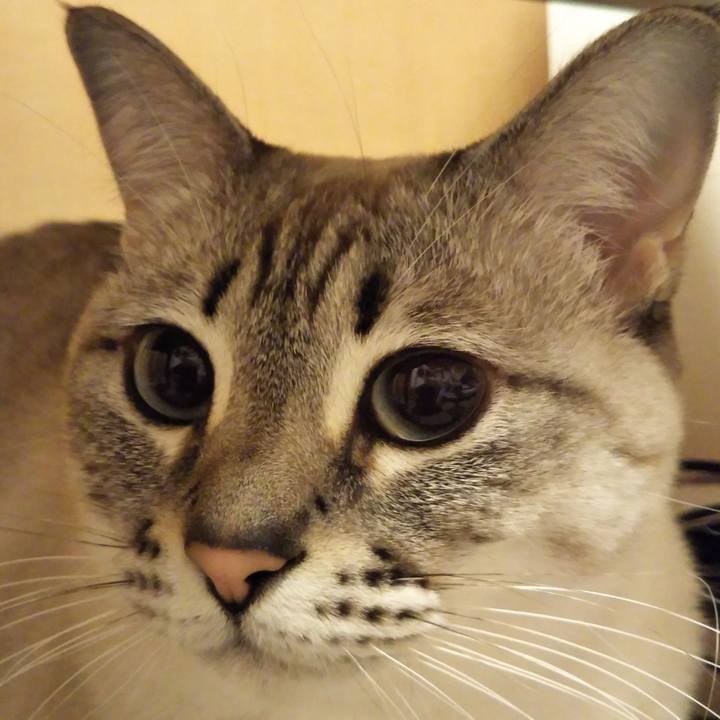 0bb39bb5 961f 4325 9731 fddb1329137e 1549382186905