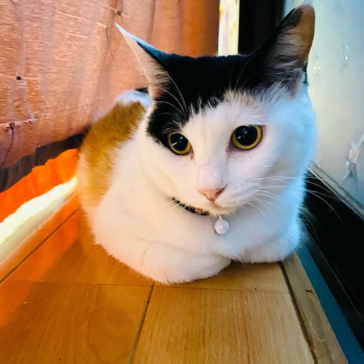 0bb3a25b c4b6 48ad 80ec 3f2df075b3dc 1656423788985